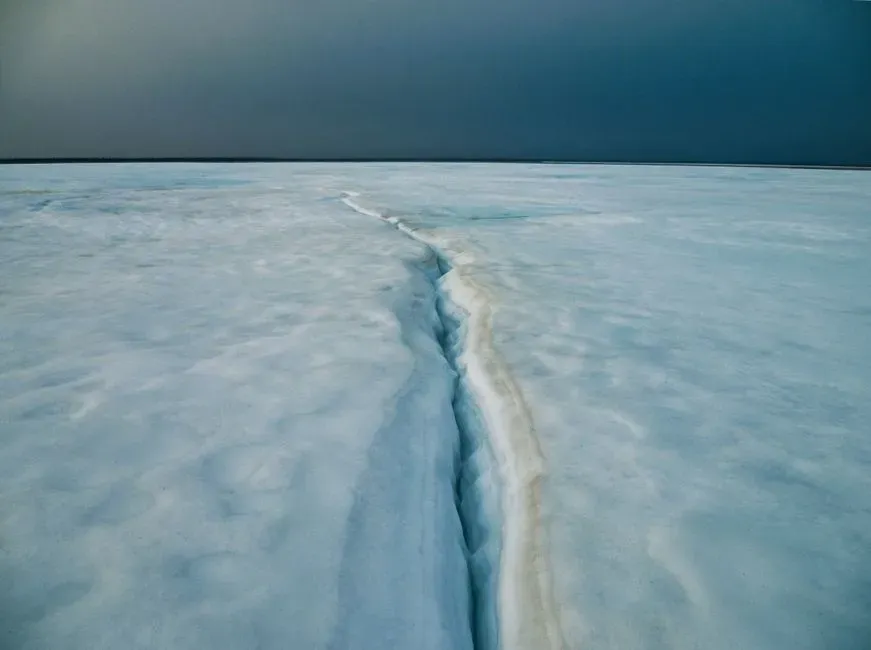 Conclusion: Winter Is Not a Neutral Bystander (Image Credits: Pexels)