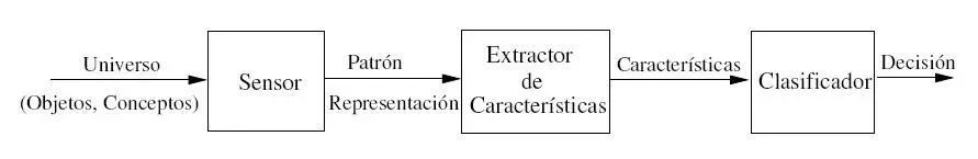 How Gut Feelings Really Form: Patterns, Prediction, and the Subconscious (Image Credits: Wikimedia)