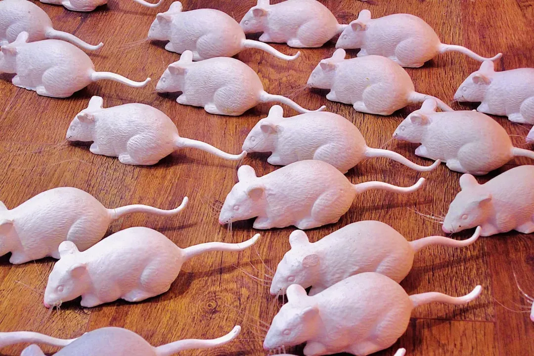 The Problem That Made Cloning Feel Like a Dead End (Image Credits: Unsplash)