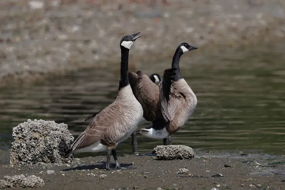 3. They Use Complex Vocal Signals to Coordinate and Comfort Each Other (Image Credits: Pexels)