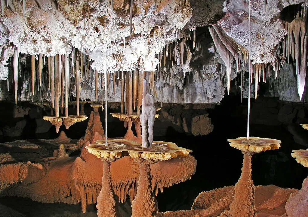 Lechuguilla Cave and the Secret History of Antibiotic Resistance (Image Credits: Flickr)