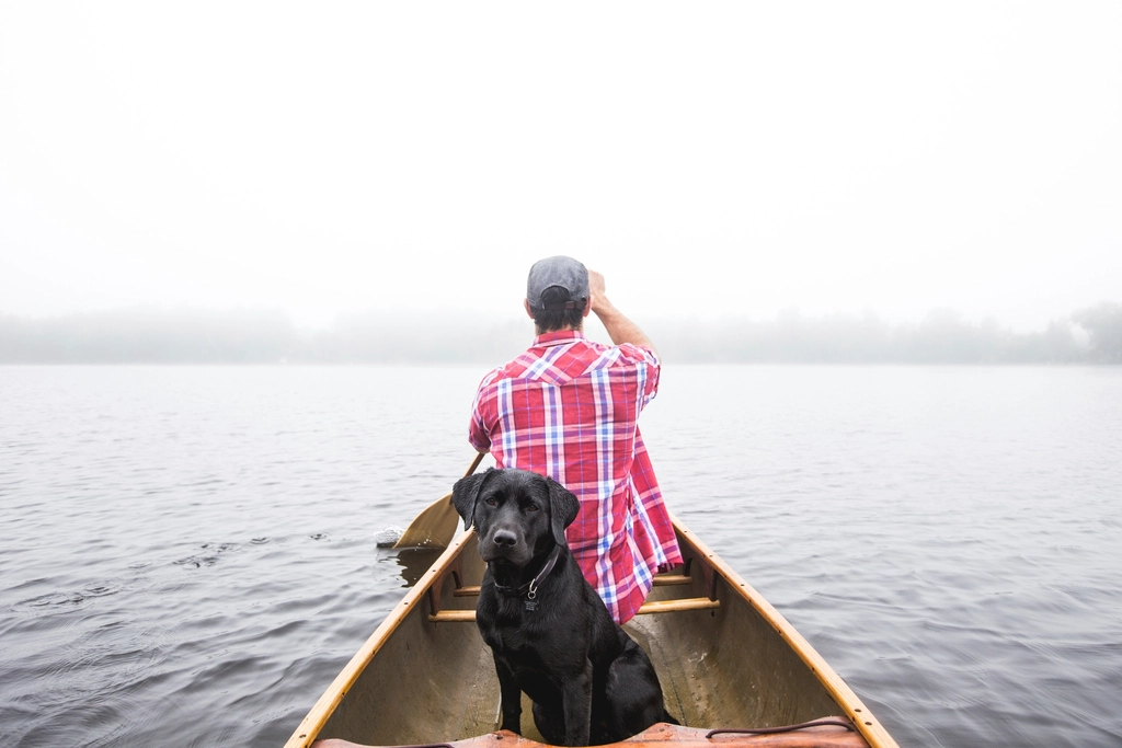 The Calm Companion: Labrador Retriever (Image Credits: Rawpixel)