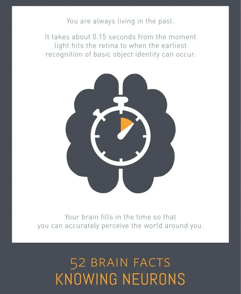 Your Brain Builds Time from Scratch (By Knowing Neurons, CC BY 4.0)