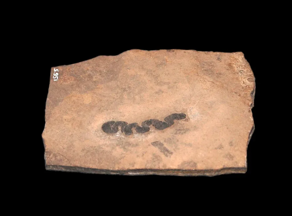 #3: Birds Known Only From Coprolites (Fossilized Poop) (paleo_bear, Flickr, CC BY 2.0)