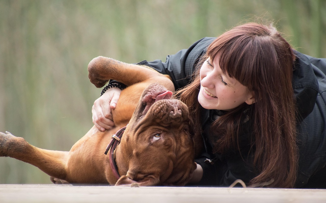 Conclusion: Living in the Canine Moment (Image Credits: Pixabay)
