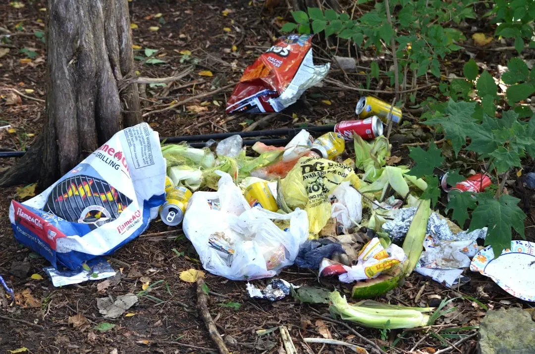 2. Your Trash and Leftovers (The Invisible Buffet) (Image Credits: Unsplash)