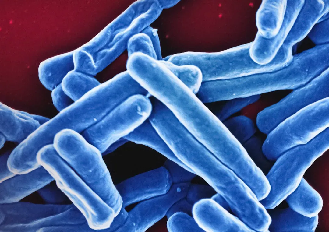 How Microbes Protect Us From Disease (Image Credits: Unsplash)