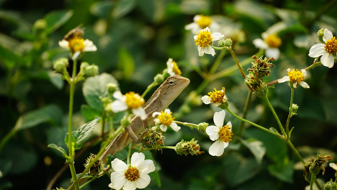 Why It Matters (Image Credits: Unsplash)