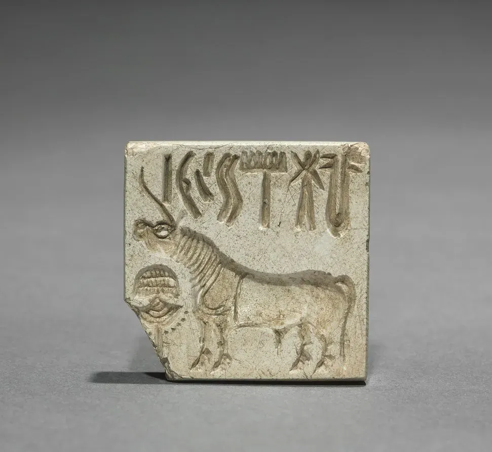 #20 The Indus Valley Script and Urban Grid: Civilization Without a Deciphered Voice (Image Credits: Flickr)