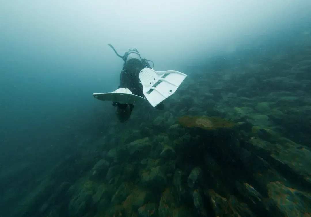 New Listening Tools: From Deep-Sea Sensors To Quiet Desert Stations (Image Credits: Unsplash)