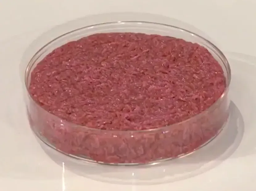 1. Cultivated Meat: Growing Protein Without the Farm (File:The Meat Revolution Mark Post.webm (7:48), CC BY 3.0)
