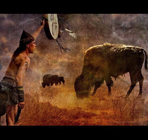 How Does Buffalo Symbolism Connect To Abundance And Prosperity? (Image Credits: Flickr)