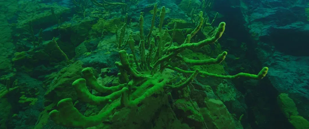 6. Brine Pools Are Like Underwater Lakes Inside the Ocean (Image Credits: Unsplash)