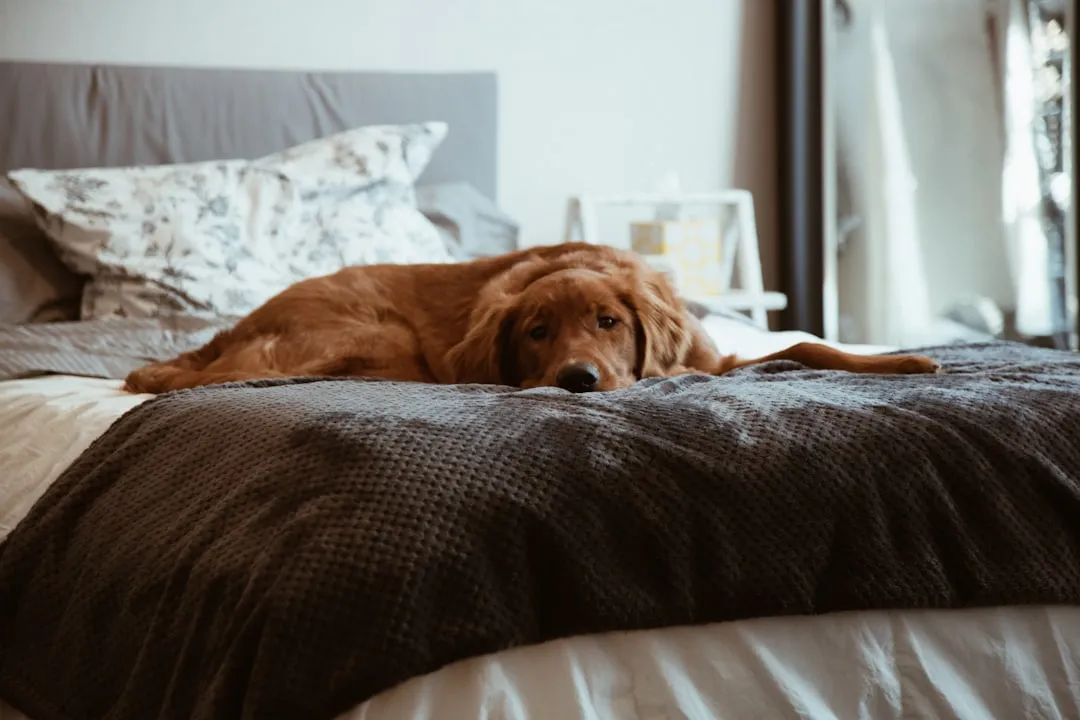 The Comfort of Routine: How Habits Shape the Second Hour (Image Credits: Unsplash)