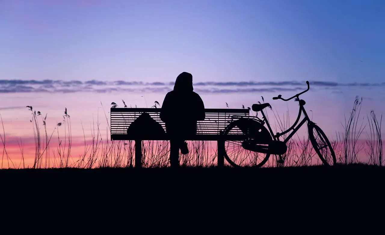 The Social Brain: Why Isolation Hits Harder Than We Think (Image Credits: Pixabay)
