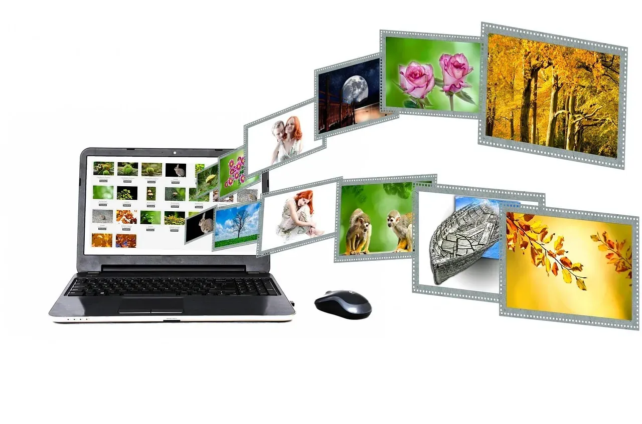 #11 The “Content Hub + Search Box” For Complex Topics (Image Credits: Pixabay)