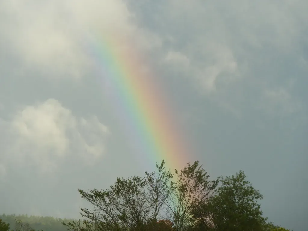 Rainbows Over Parking Lots (Image Credits: Flickr)
