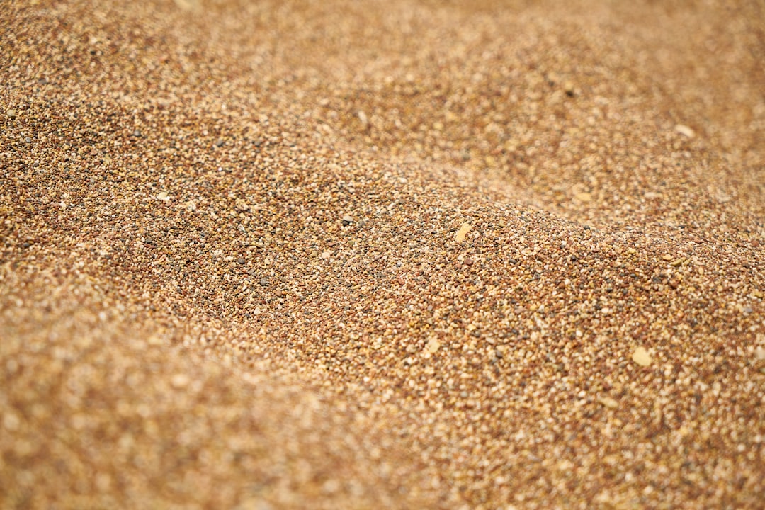 How Sand Grain Size Controls the Musical Notes (Image Credits: Unsplash)