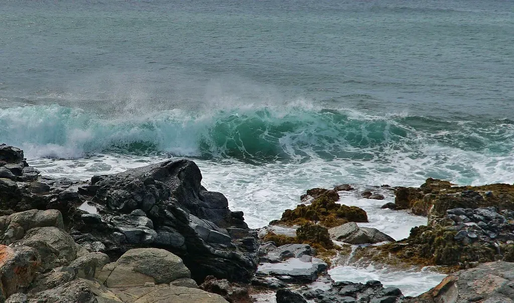 Ancient Oceans Flowing Through You (Eric Tessmer, Honolulu Hawaii, Flickr, CC BY 2.0)
