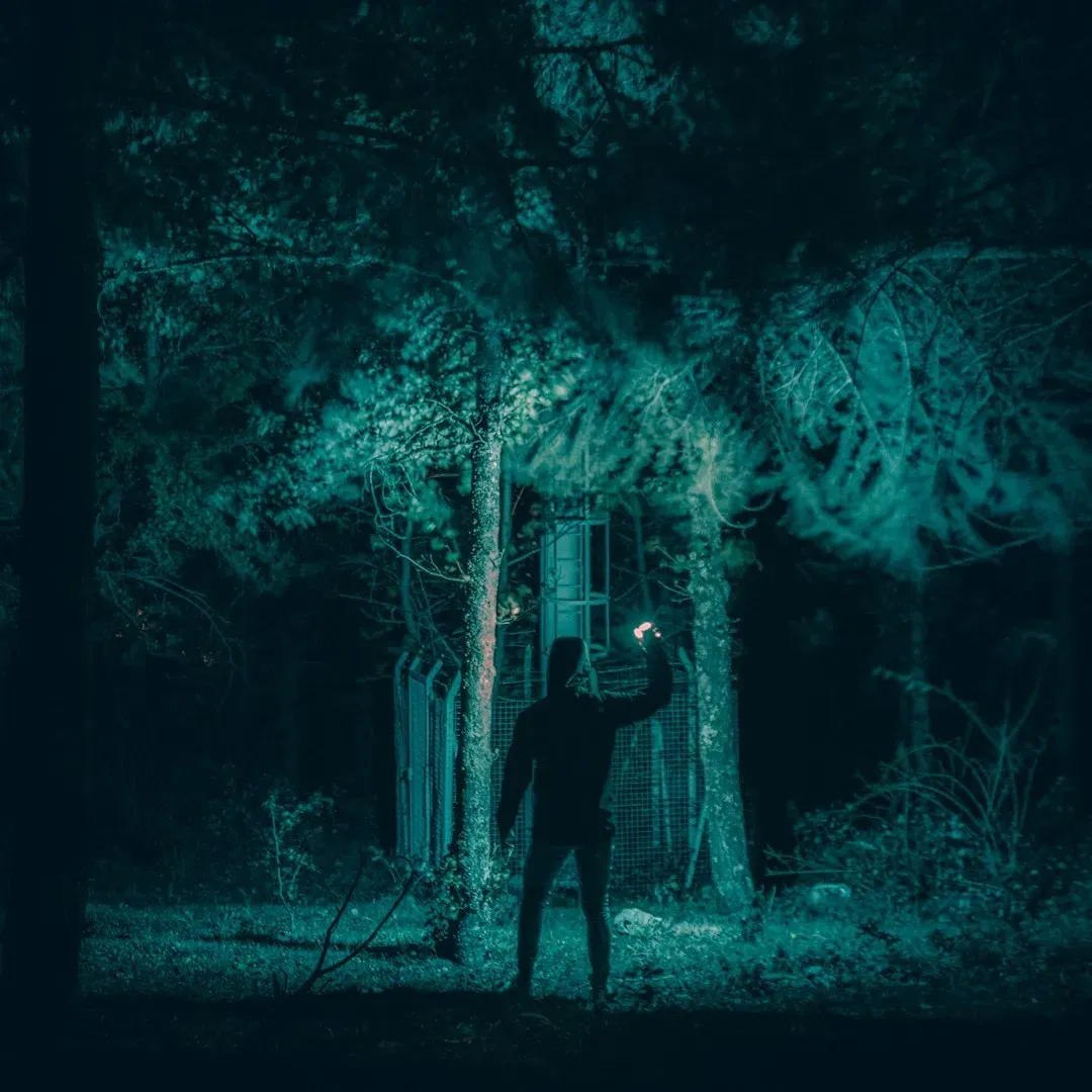 How Modern Safety Tools Don’t Fully Calm Old Instincts (Image Credits: Unsplash)
