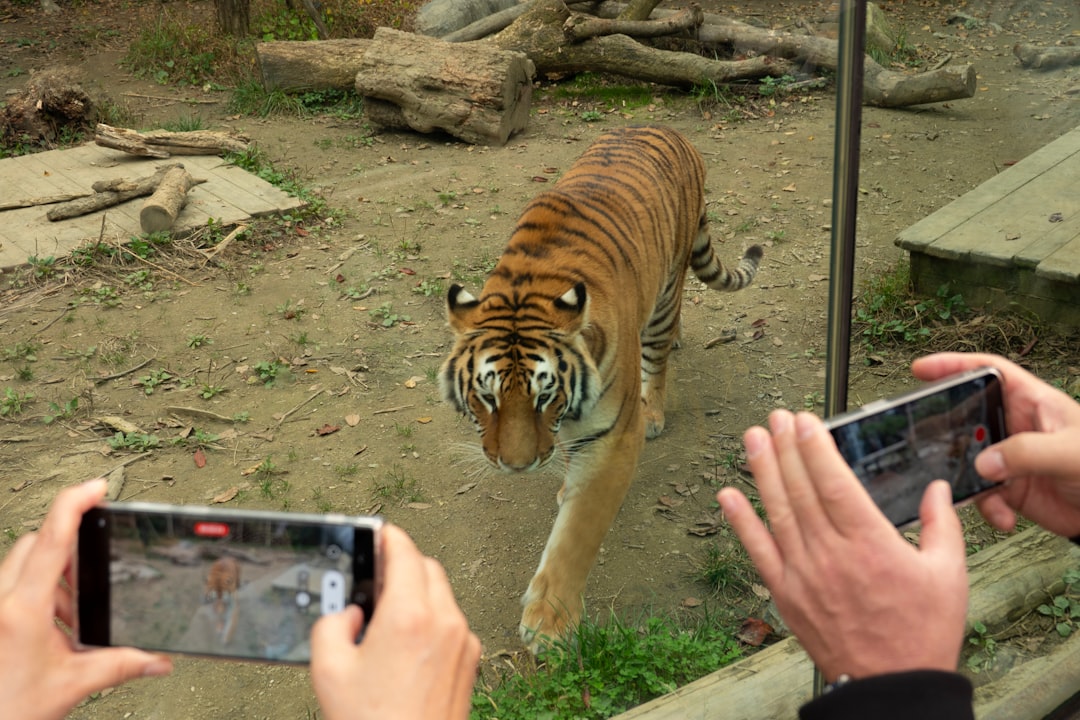 From Ancient Tools to Modern Science (Image Credits: Unsplash)