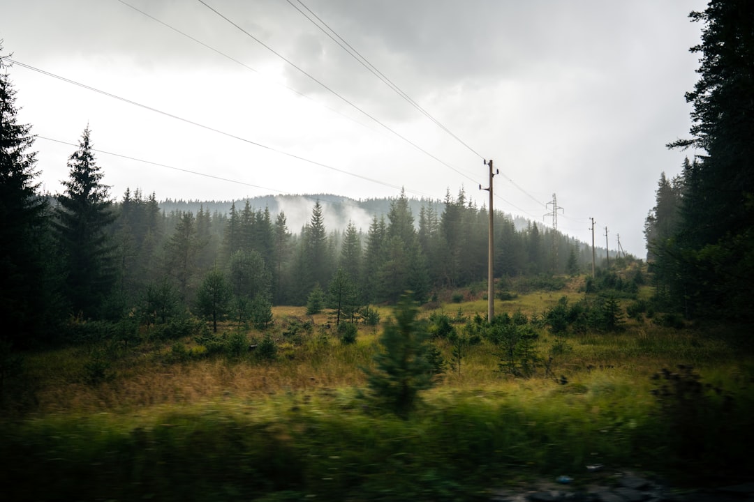 Why It Matters (Image Credits: Unsplash)