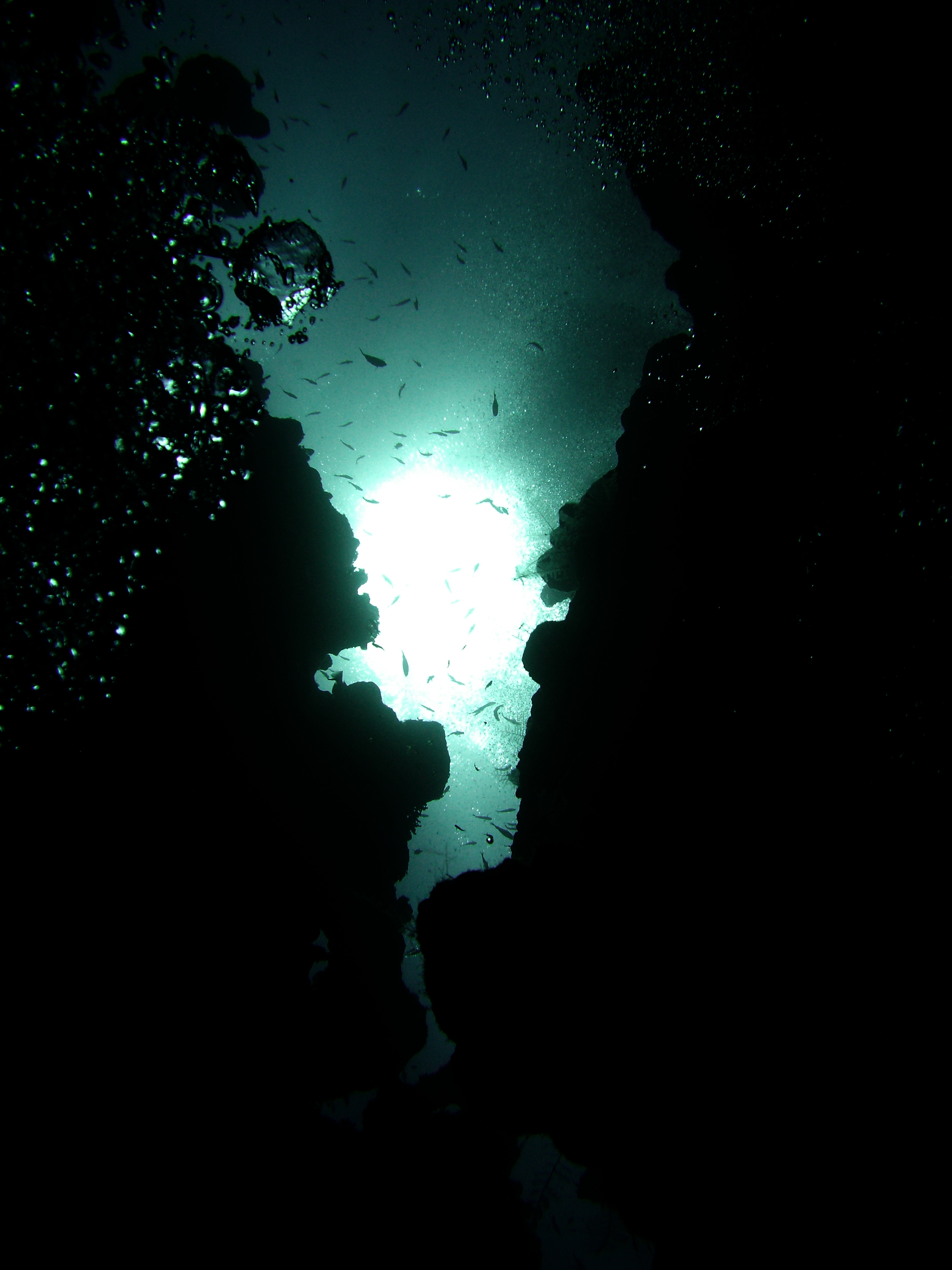 The Hidden Clues (Image Credits: Wikimedia)