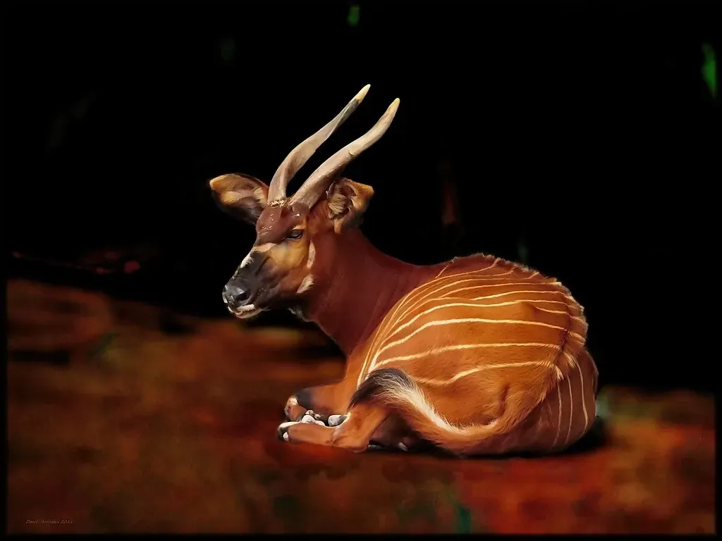 #3 The Vanishing Antelope of a Single Line (Image Credits: Flickr)