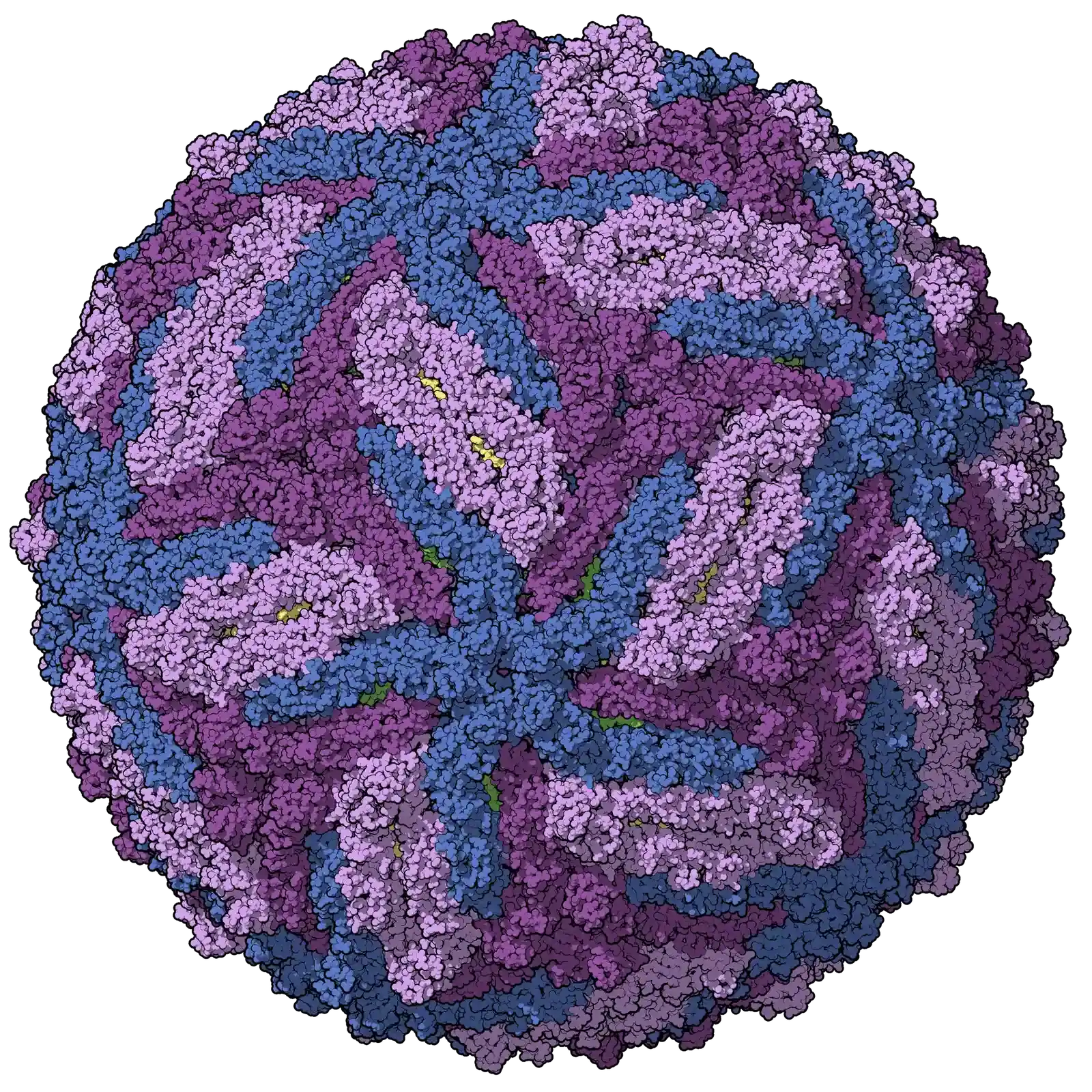 #11 - Those "Dead" Viral Genes Are Secretly Switching On Right Now (By Manuel Almagro Rivas, CC BY-SA 4.0)
