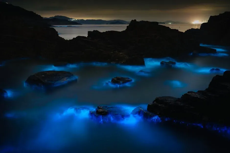 20. Bioluminescent Light Shows in the Open Ocean (Image Credits: Pexels)
