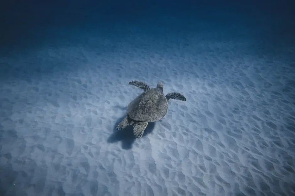 Sea Turtles: Returning Home Across Entire Oceans (Image Credits: Pexels)
