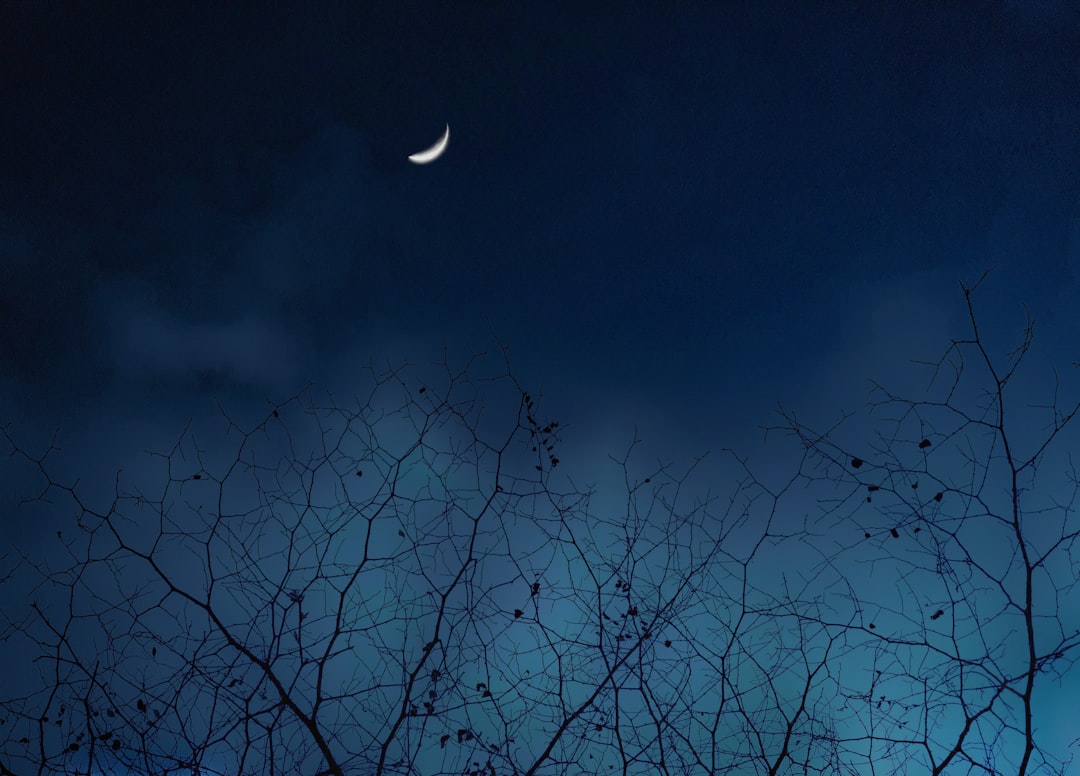 Call to Action (Image Credits: Unsplash)