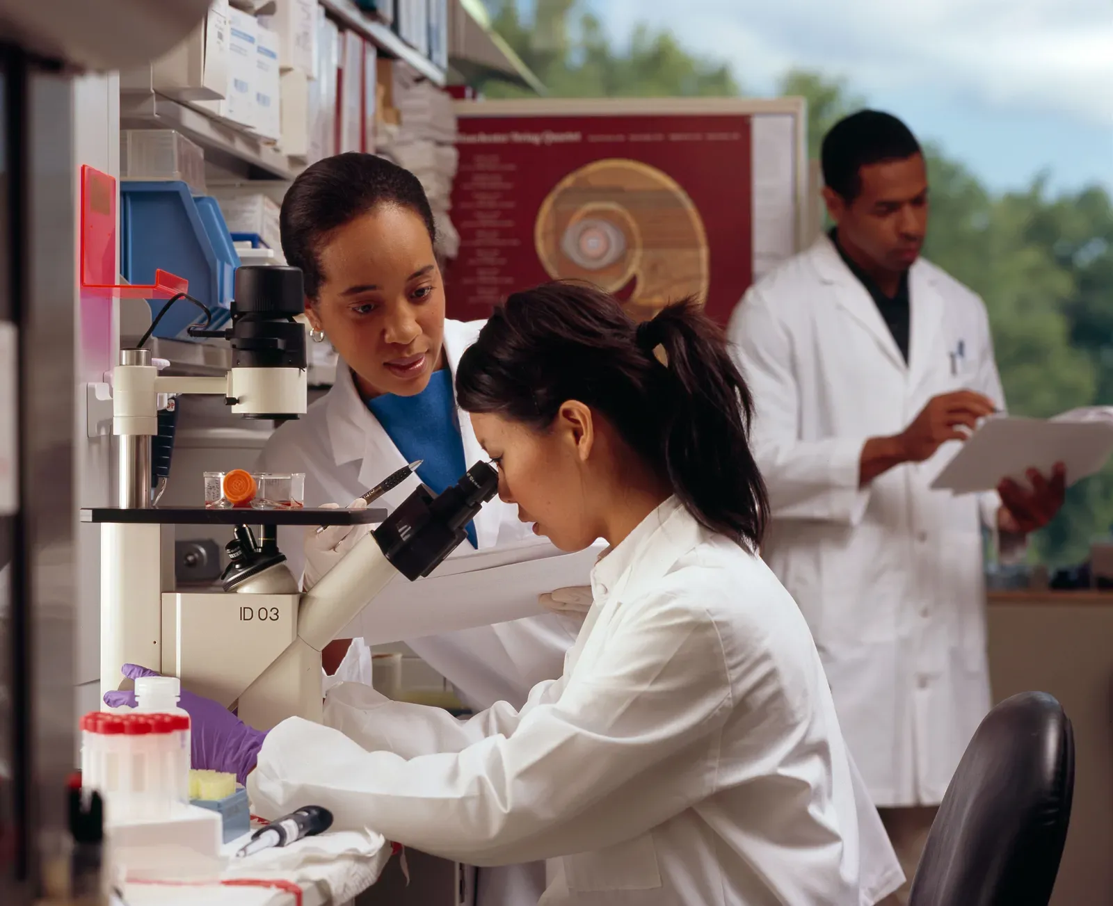 10. Precision Oncology and Omics: Turning Tumors into Data Problems (This image was released by the National Cancer Institute, an agency part of the National Institutes of Health, with the ID 7985 (image) (next)., Public domain)