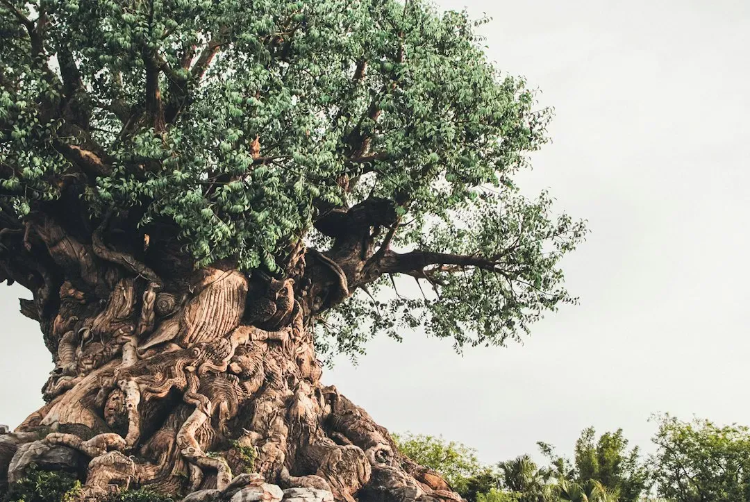 #9 The Tree of Life and Sacred Trees: Vertical Bridges (Image Credits: Unsplash)