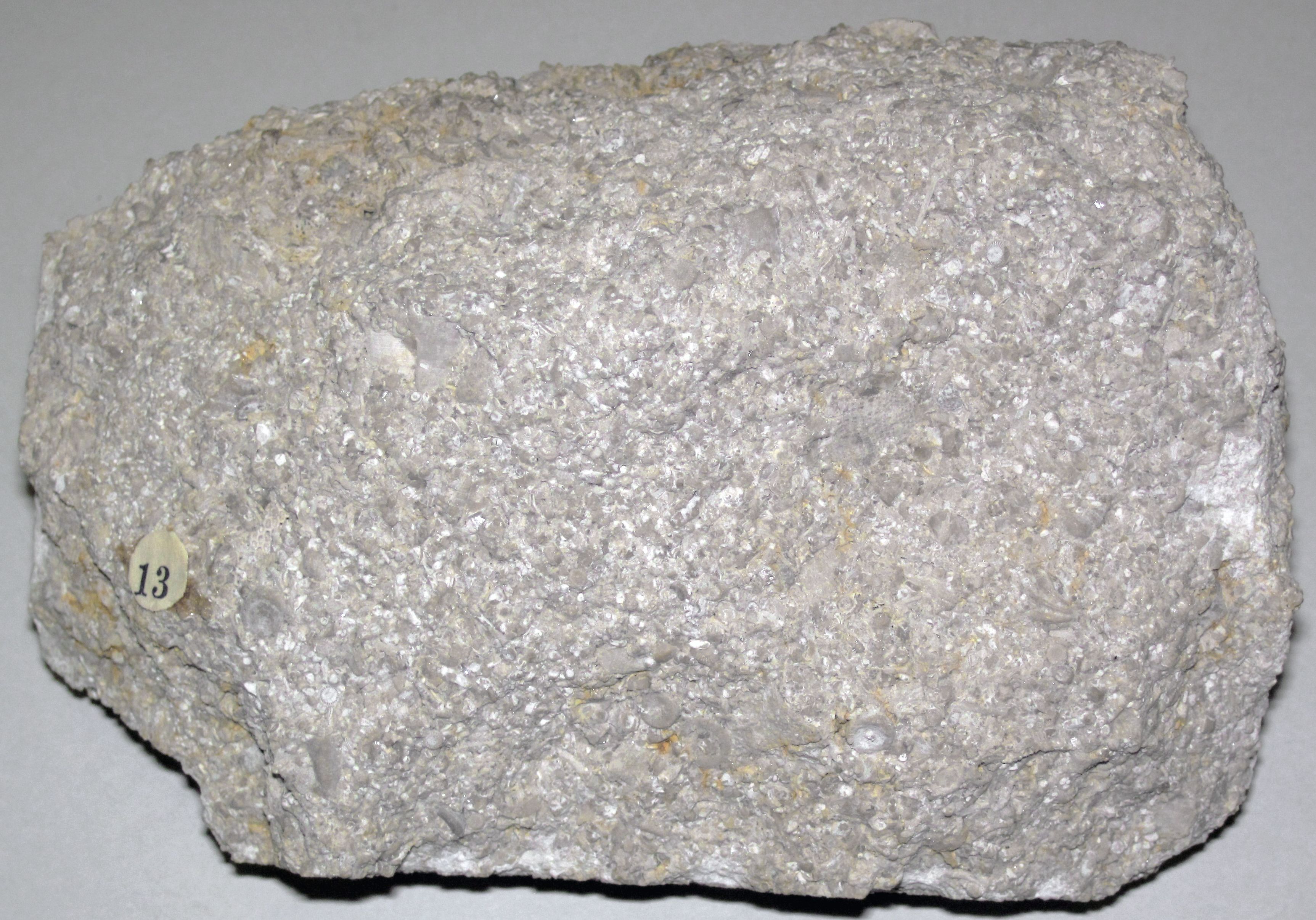 Global Perspectives: Trade Without Wheels, Writing, or Beasts of Burden (Image Credits: Wikimedia)