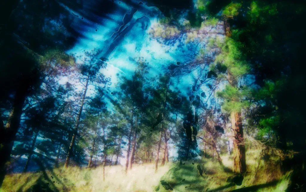 8. Dreaming in Color Is a Modern Invention (Basically) (Image Credits: Flickr)