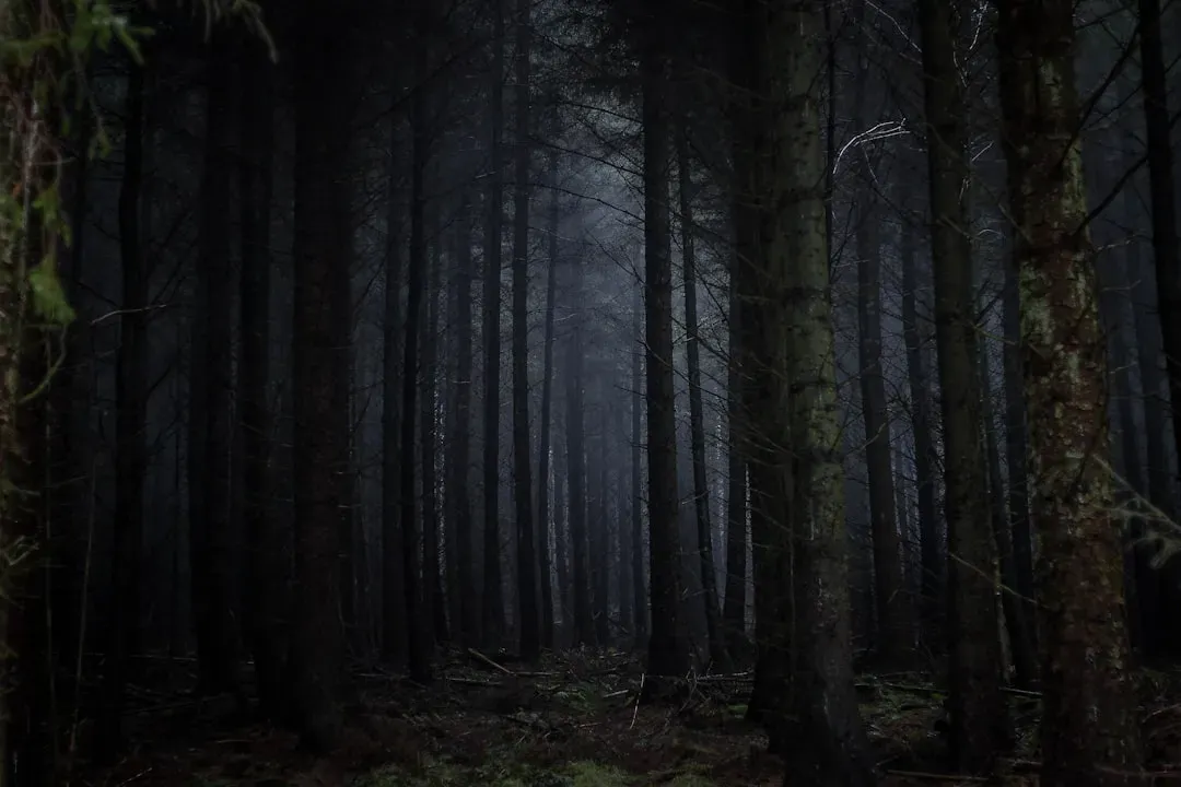 The Forest as a Stage for Your Deepest Archetypal Fears (Image Credits: Unsplash)