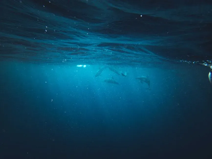 #4 - The Planet's Largest Migration We Still Can't Count (Image Credits: Pexels)