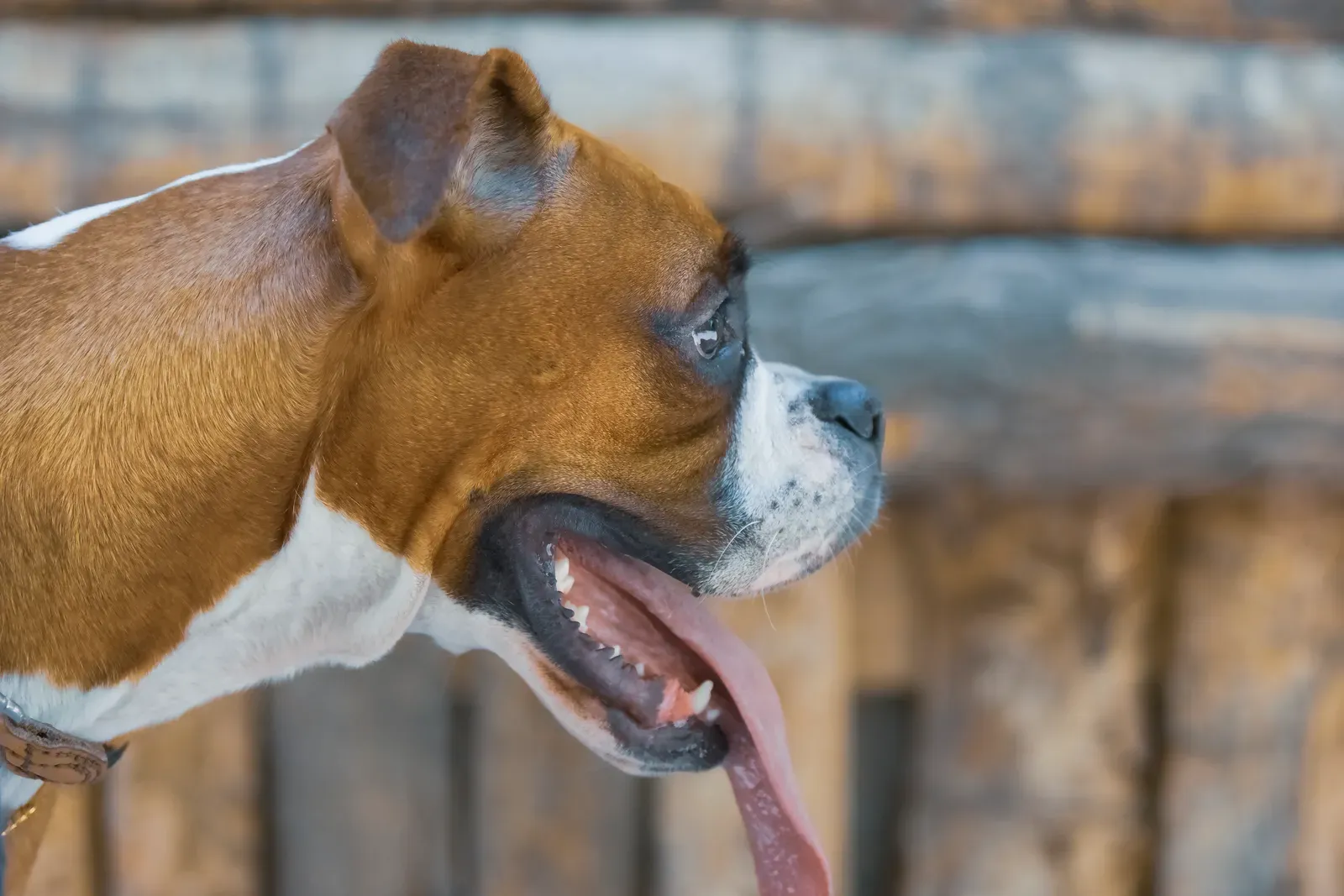 Conclusion (Image Credits: Wikimedia)