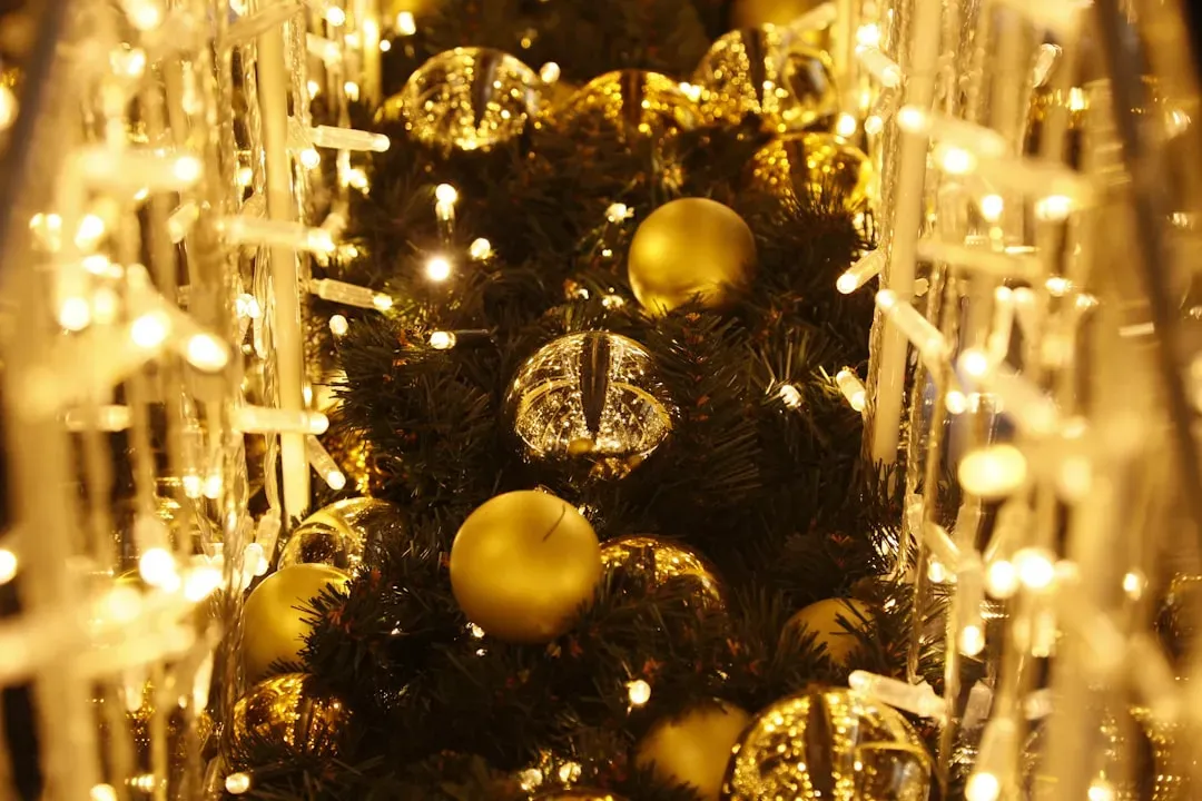 Why It Matters:  as a Window Into the Human Brain (Image Credits: Unsplash)