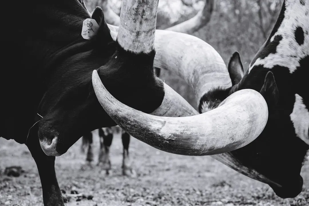 How to Get Involved: From Curiosity to Conservation (Image Credits: Unsplash)