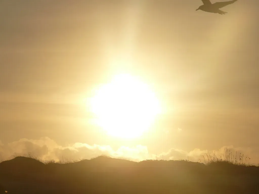 The Sun Is Slowly Getting Brighter (And That Spells Trouble) (DRAMOS19, Flickr, CC BY 2.0)