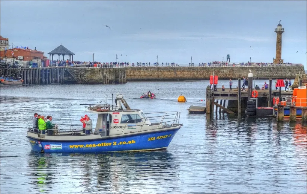 Human Neighbors: Fishing, Tourism, and the Otter Trade-Offs (Image Credits: Rawpixel)
