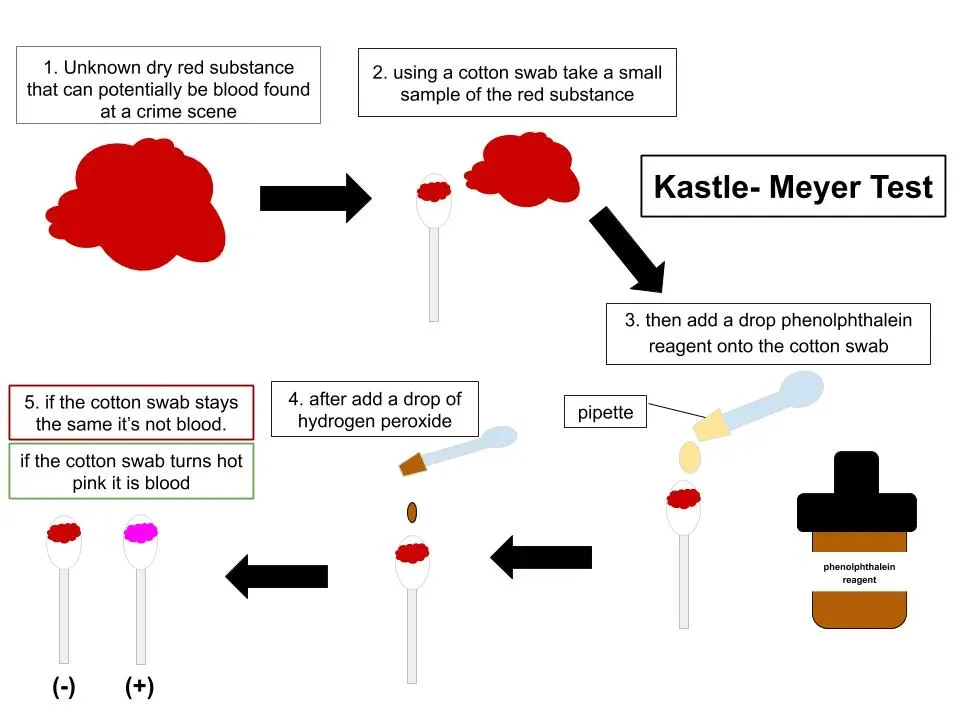 The Future of Solving Historical Disappearances (Image Credits: Wikimedia)