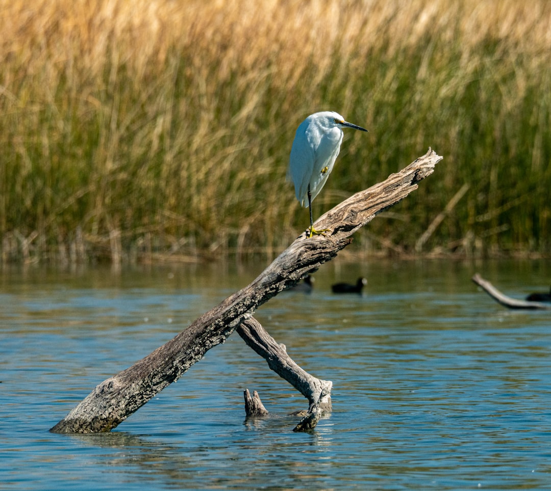 Water Signs in the Quiet Places: Empathy and Deep Observation (Image Credits: Unsplash)