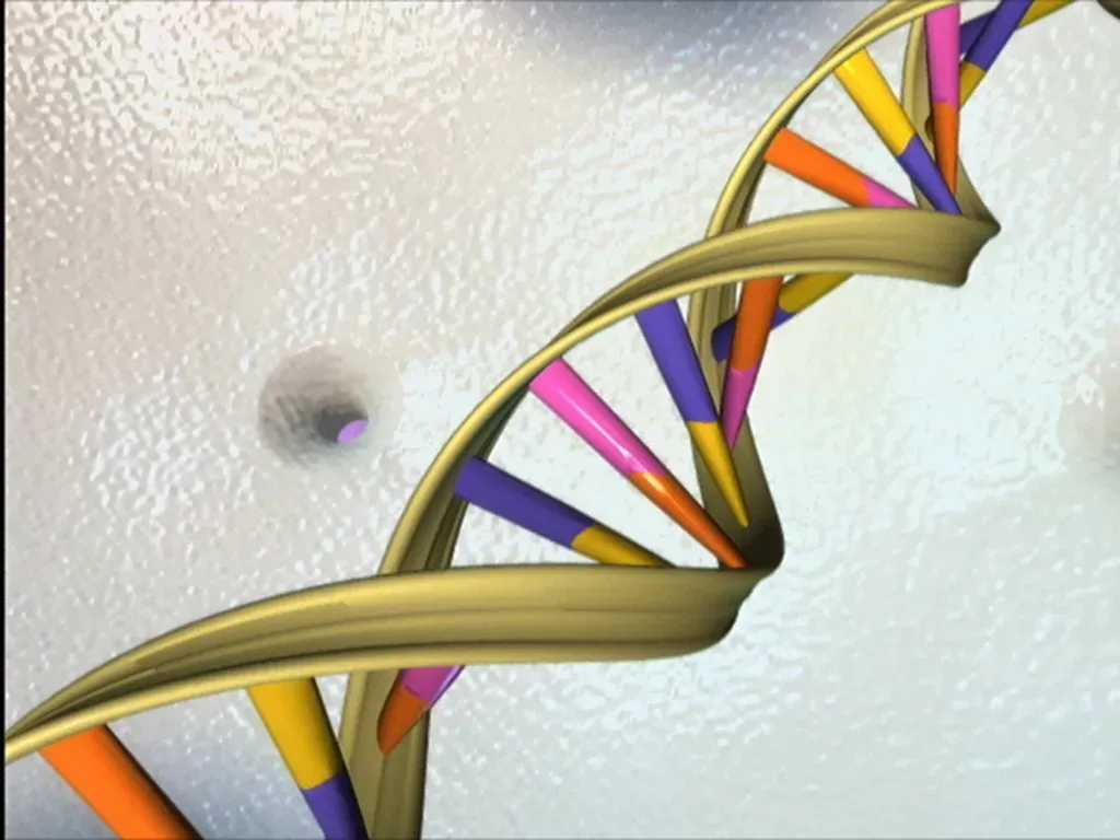 8. The Path to DNA’s Double Helix: Chargaff and Franklin Providing the Clues (Image Credits: Flickr)