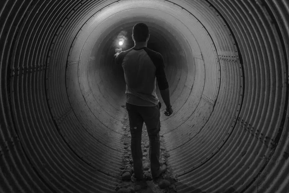 The Famous Tunnel and Light: What Vision Science Suggests (Image Credits: Stocksnap)