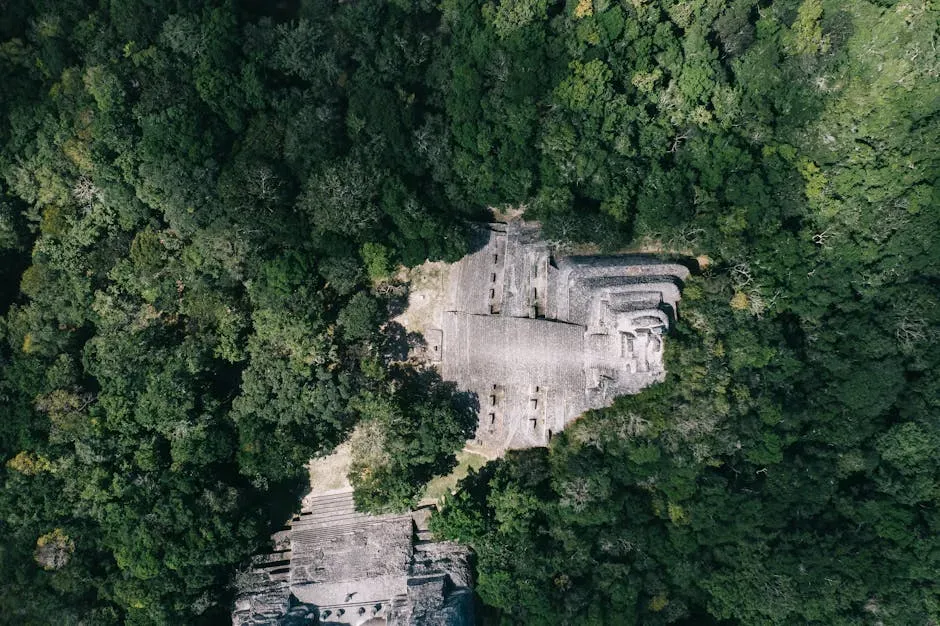 El Mirador: The Jungle Megacity Before the Classic Maya (Image Credits: Pexels)
