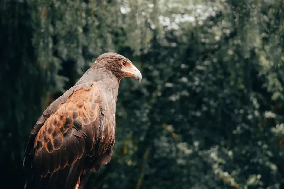 #5 Why Tests Feel Flat But Spirit Animals Feel Alive (Image Credits: Pexels)