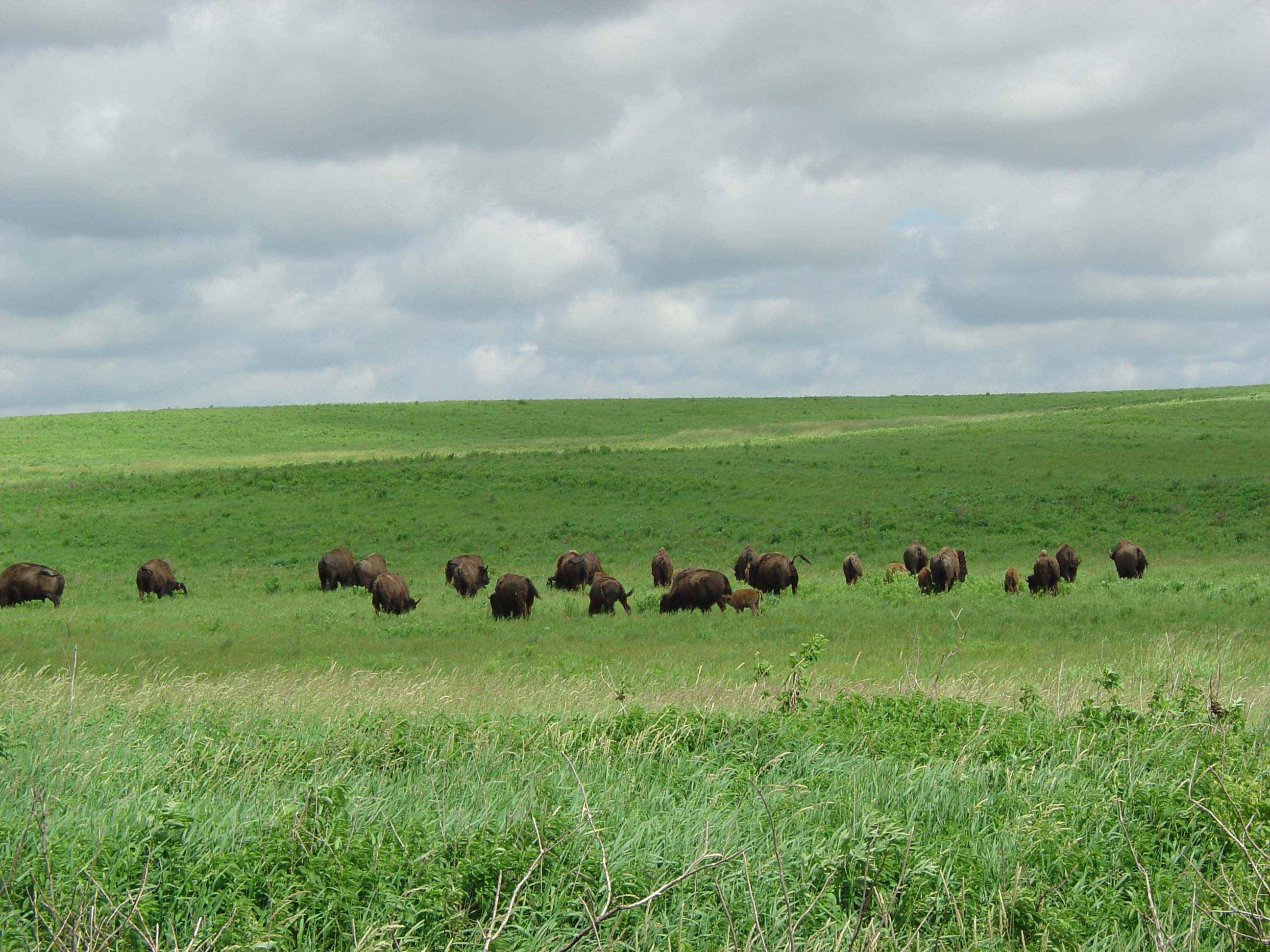 Rosebud Sioux Reservation, South Dakota (Image Credits: Wikimedia)
